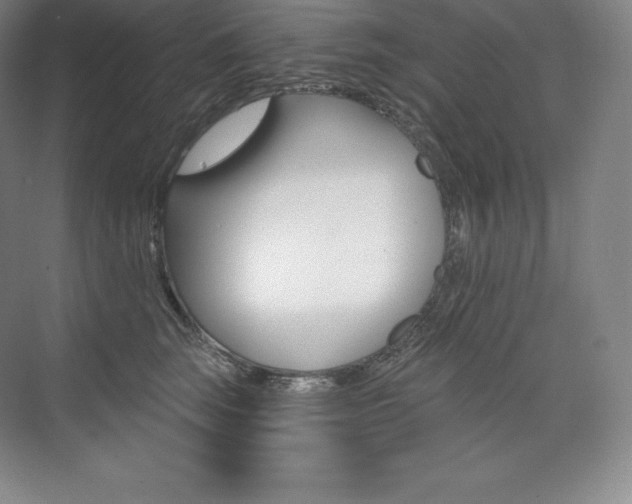 X0000073930663200608111027