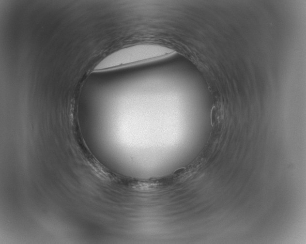 X0000073930664200608111027