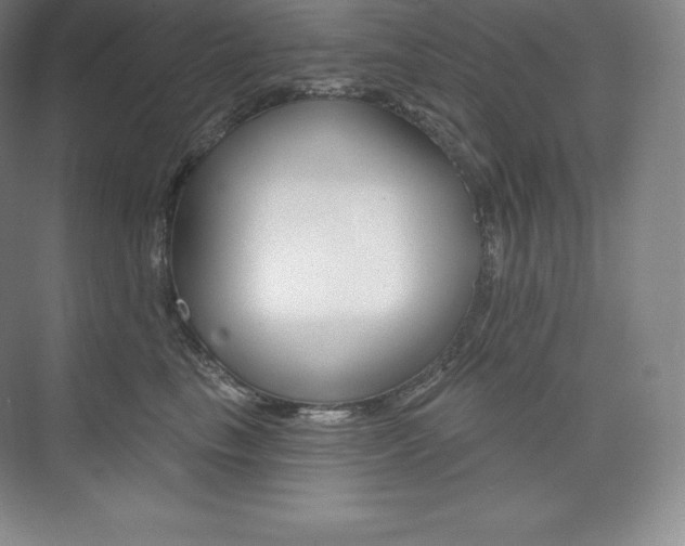 X0000073930665200608111027