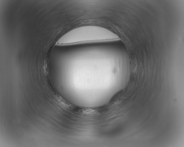 X0000073930669200608111027