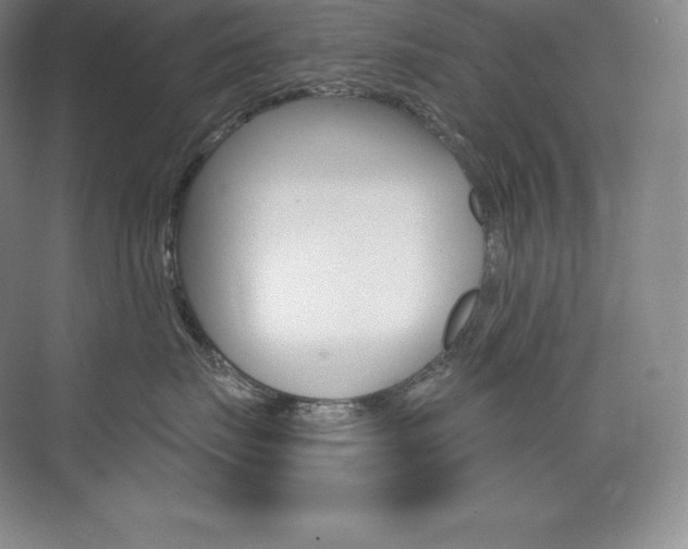 X0000073930671200608111027