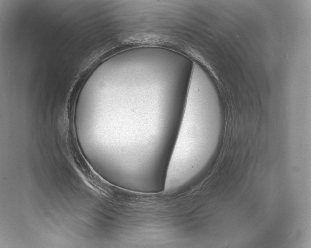 X0000073930674200608111026