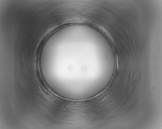 X0000073930675200608111026