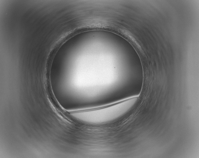 X0000073930677200608111026