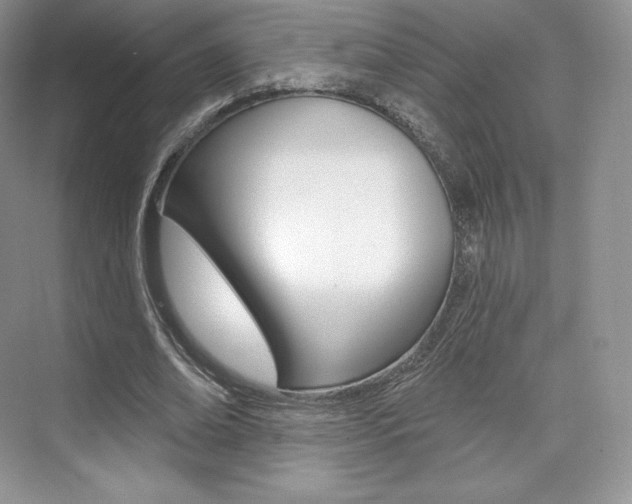 X0000073930678200608111026