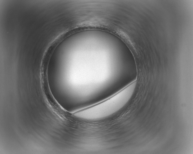X0000073930680200608111026