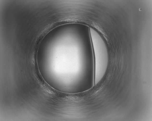 X0000073930681200608111026