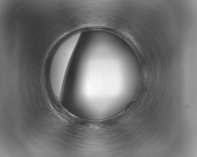 X0000073930684200608111026