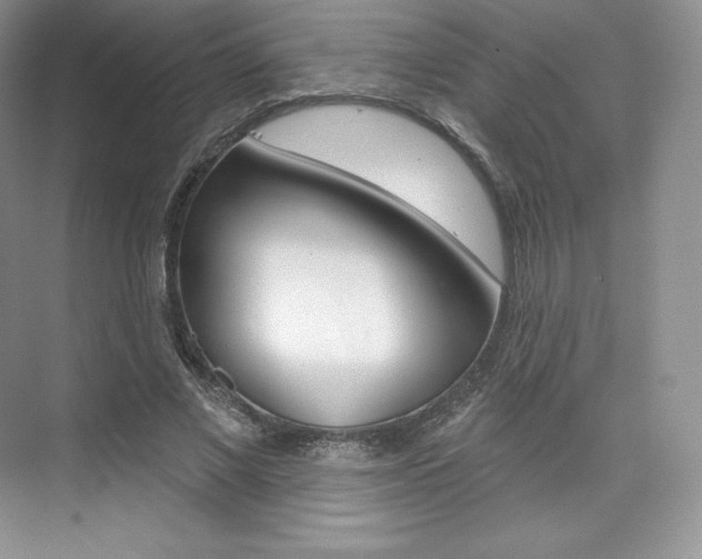 X0000073930685200608111026