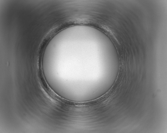 X0000073930686200608111026