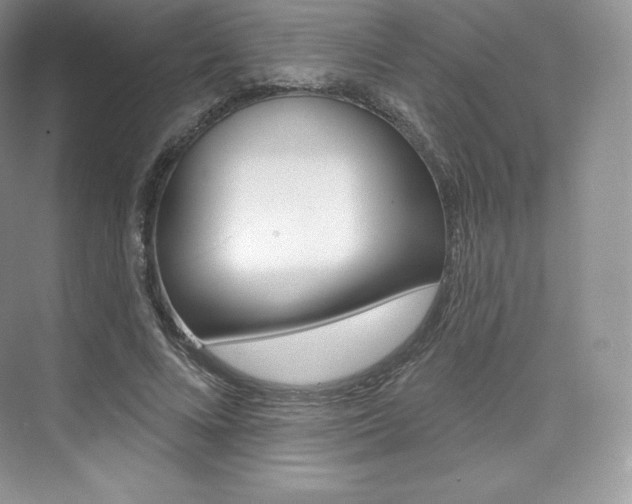 X0000073930688200608111026