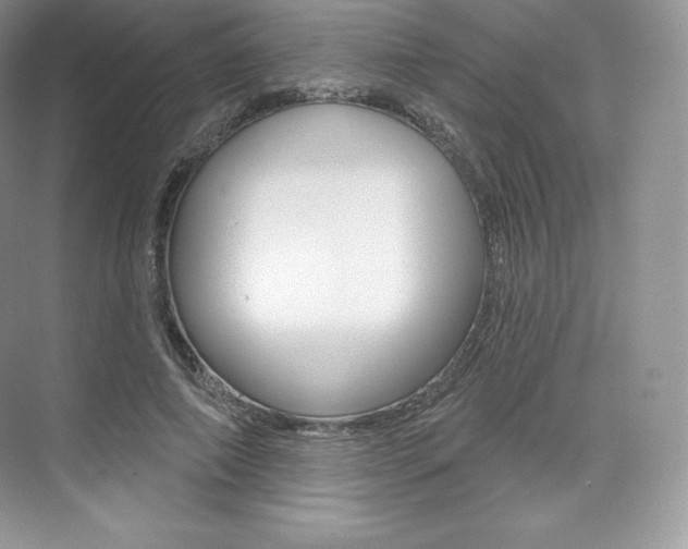 X0000073930690200608111026