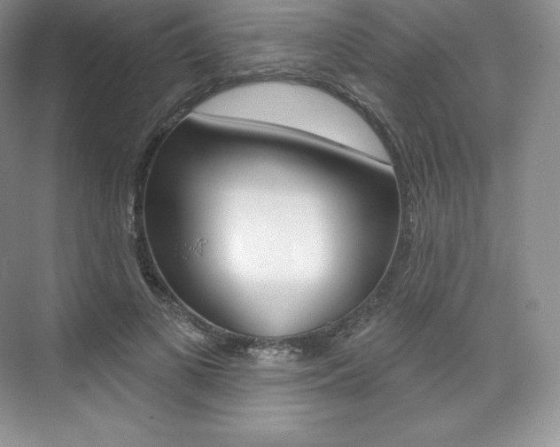 X0000073930693200608111026