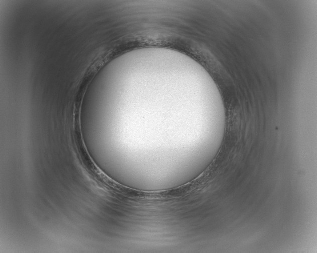 X0000073930694200608111026