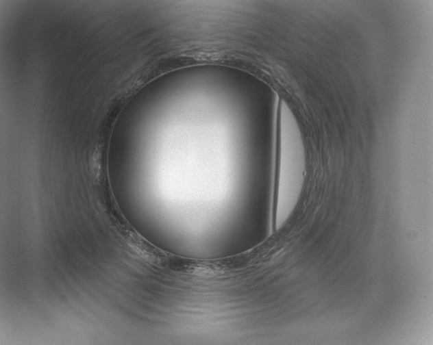X0000073930697200608111026