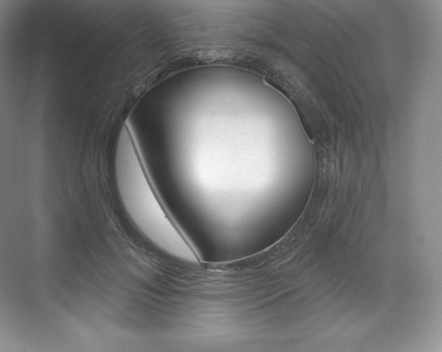 X0000073930700200608111026