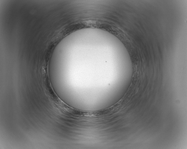 X0000073930702200608111026