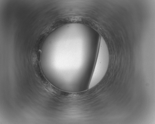 X0000073930704200608111026
