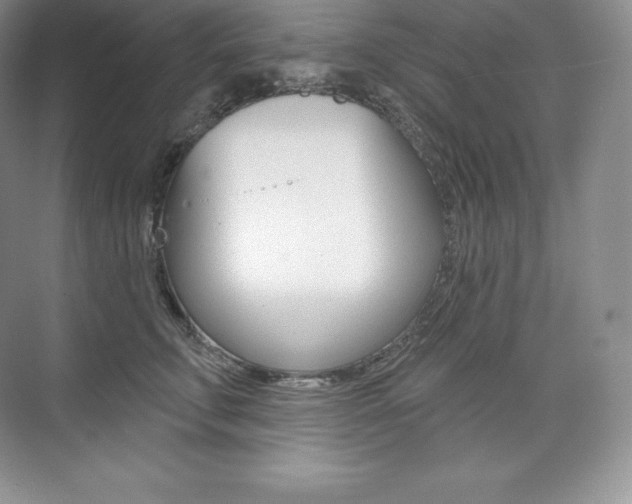 X0000073930711200608111026