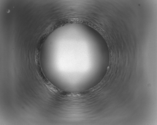 X0000073930712200608111026