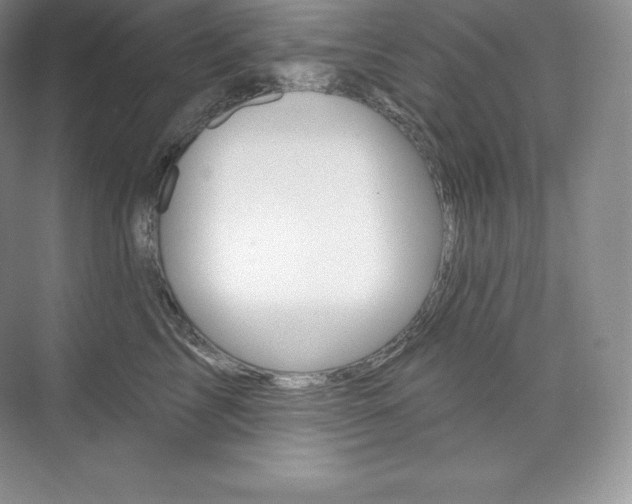 X0000073930713200608111026