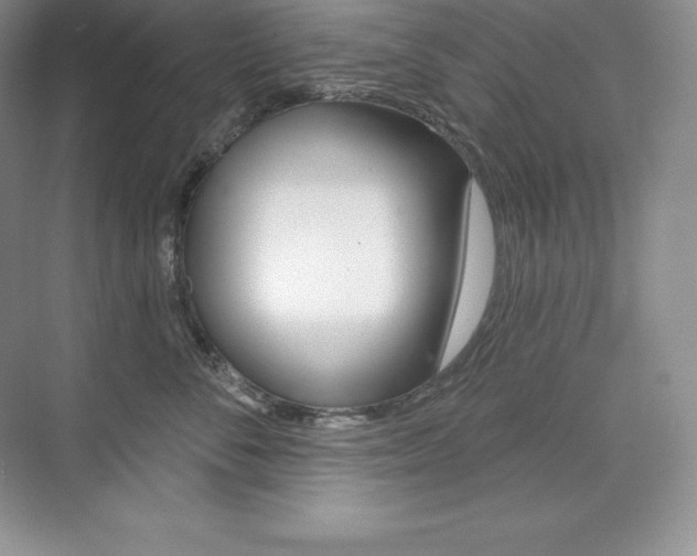 X0000073930716200608111026