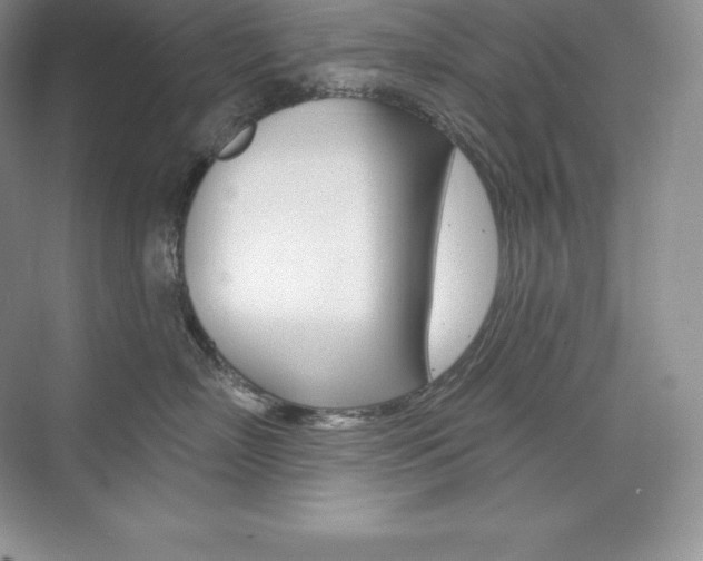 X0000073930718200608111025
