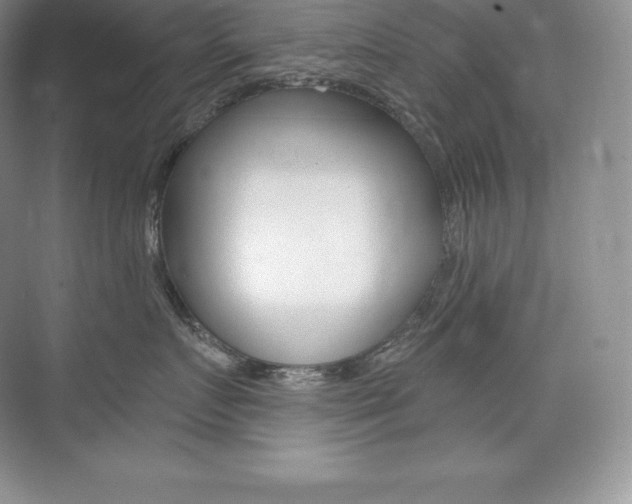 X0000073930719200608111025