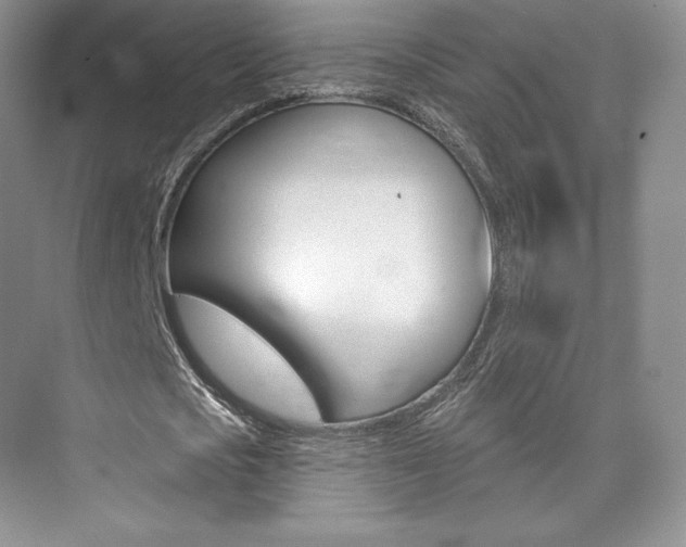 X0000073930721200608111025
