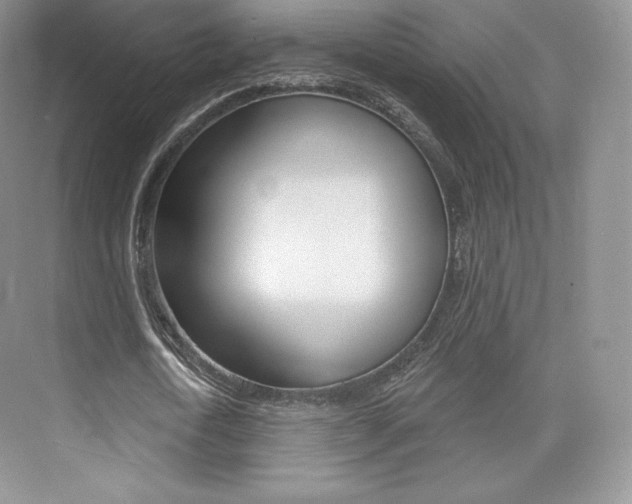 X0000073930722200608111025