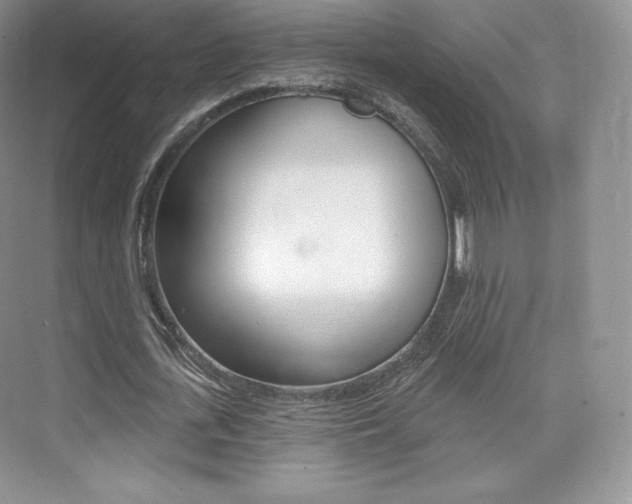 X0000073930723200608111025
