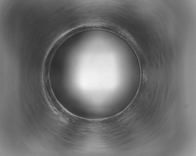 X0000073930724200608111025