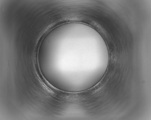 X0000073930725200608111025