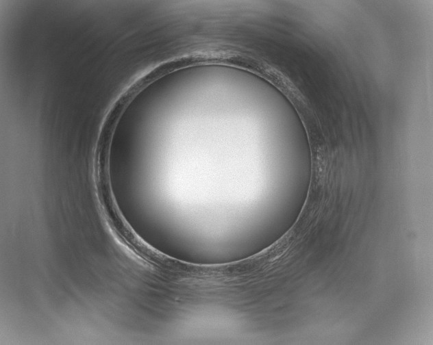 X0000073930726200608111025