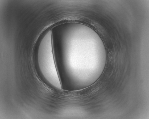X0000073930727200608111025