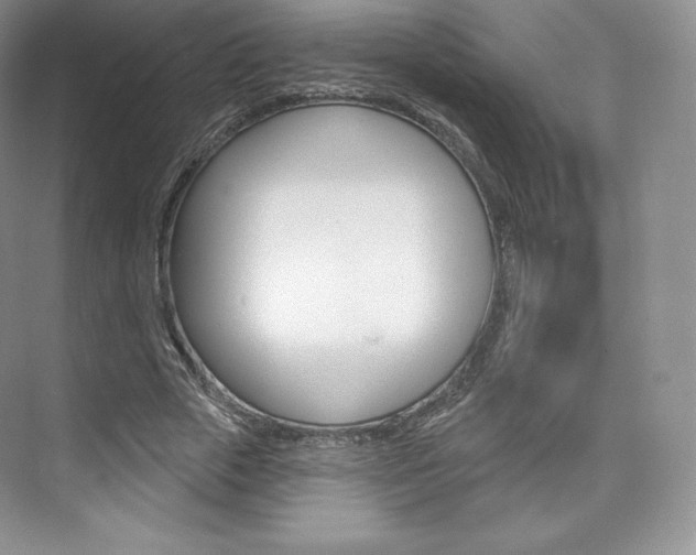 X0000073930729200608111025