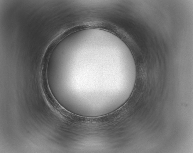 X0000073930730200608111025