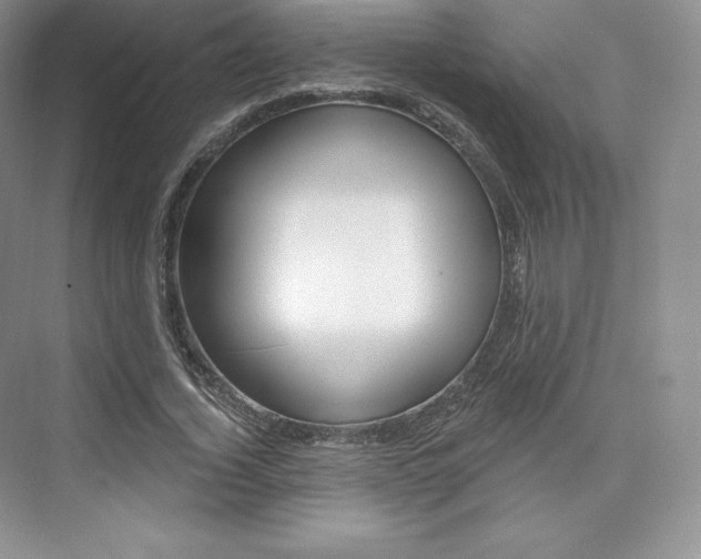 X0000073930732200608111025