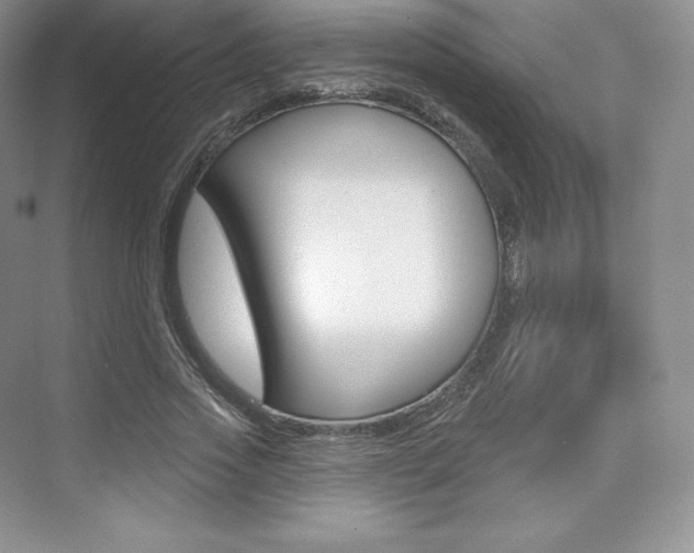 X0000073930733200608111025