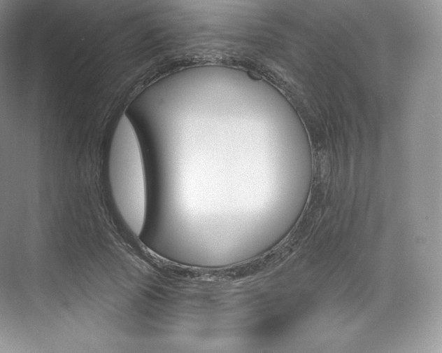 X0000073930737200608111025