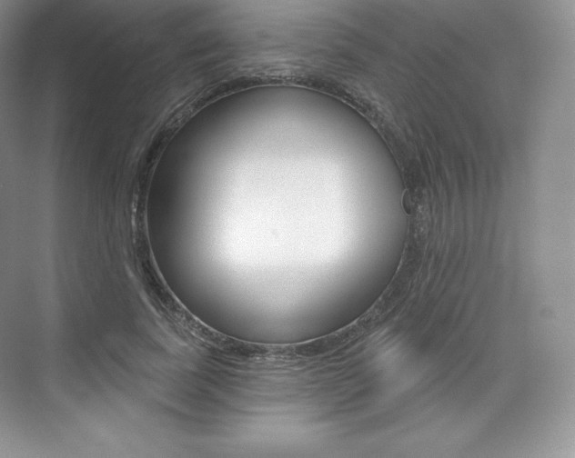 X0000073930739200608111025