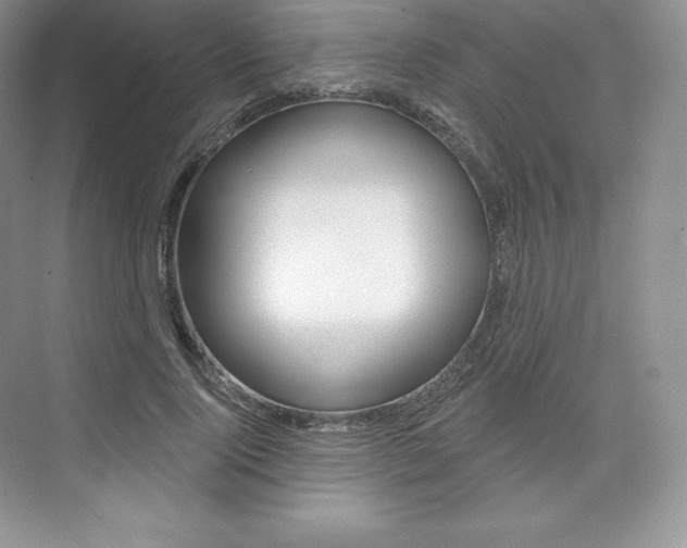 X0000073930740200608111025