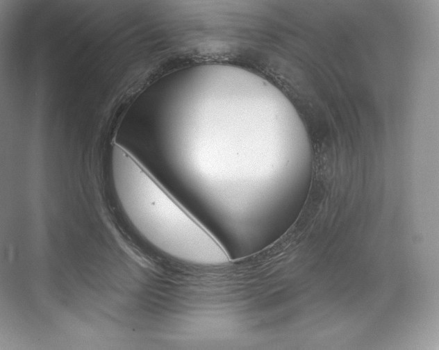 X0000073930742200608111025