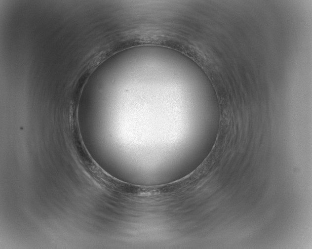 X0000073930744200608111025