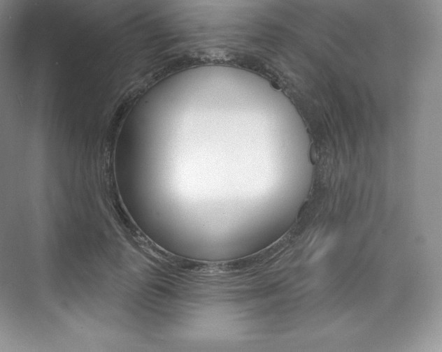 X0000073930747200608111025
