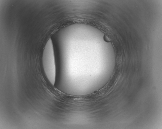 X0000073930749200608111025