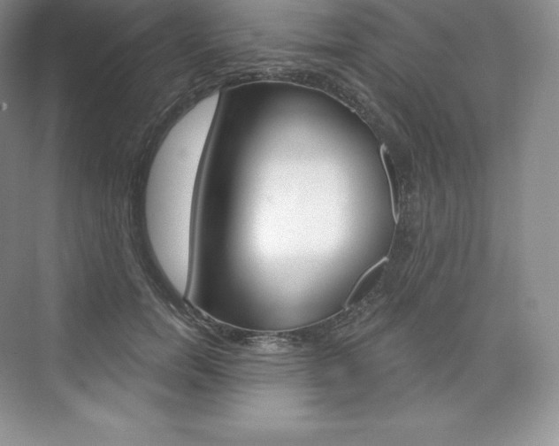 X0000073930750200608111025