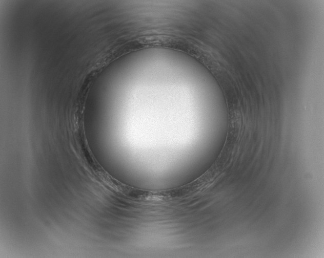 X0000073930751200608111025