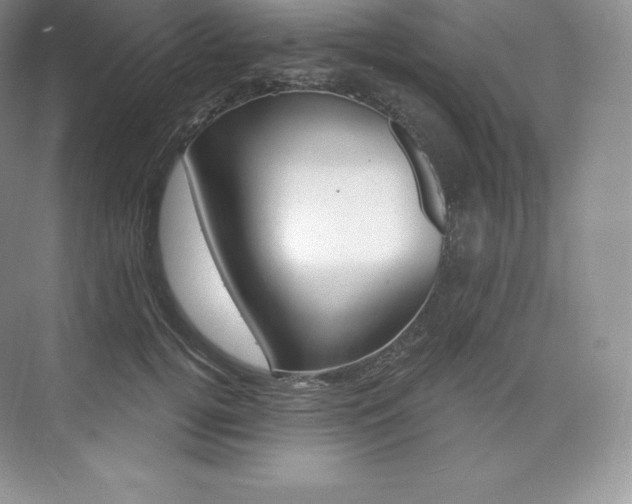 X0000073930752200608111025