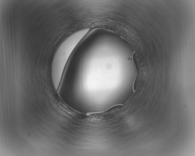 X0000073930756200608111025